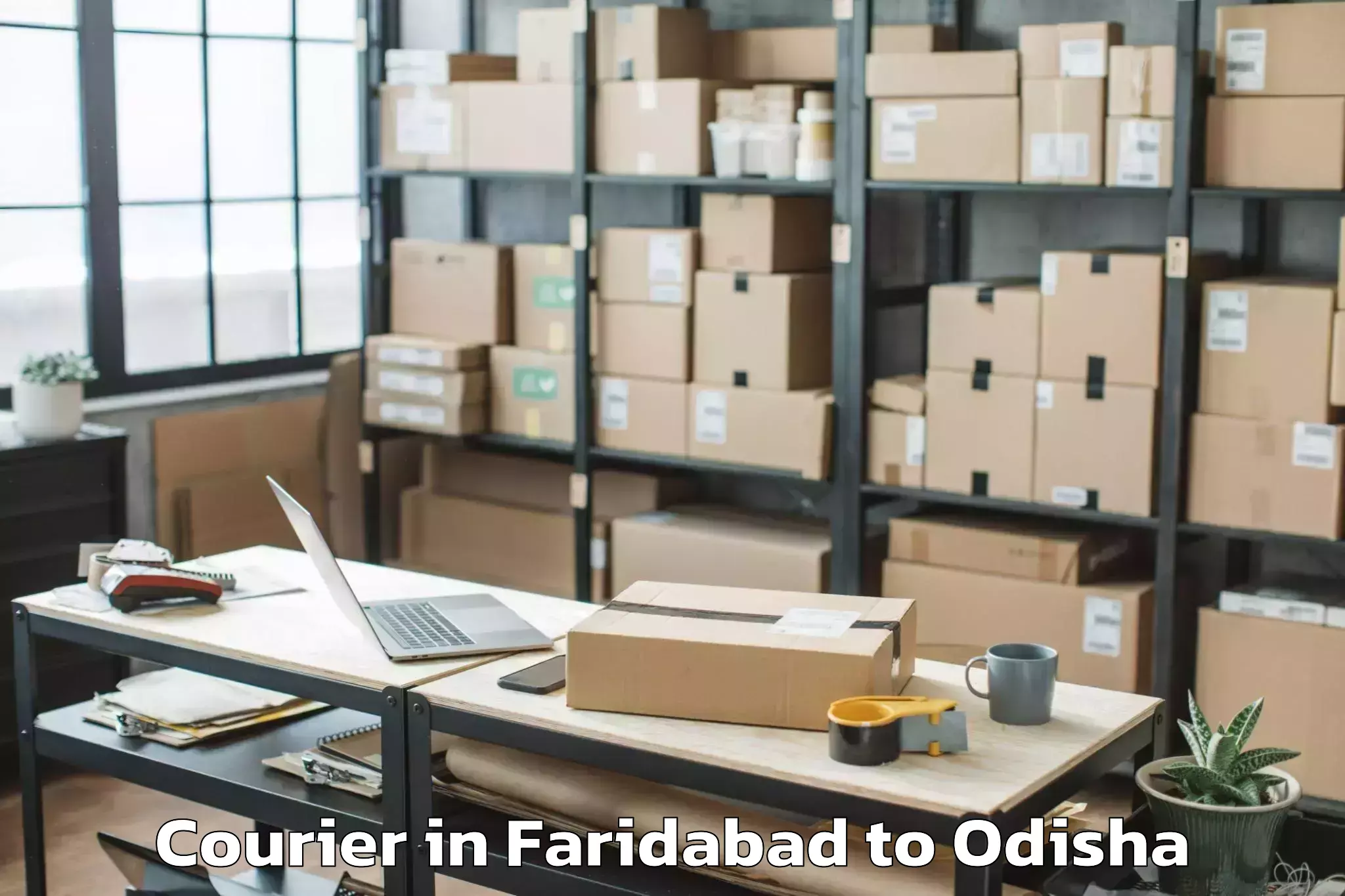 Reliable Faridabad to Delanga Courier